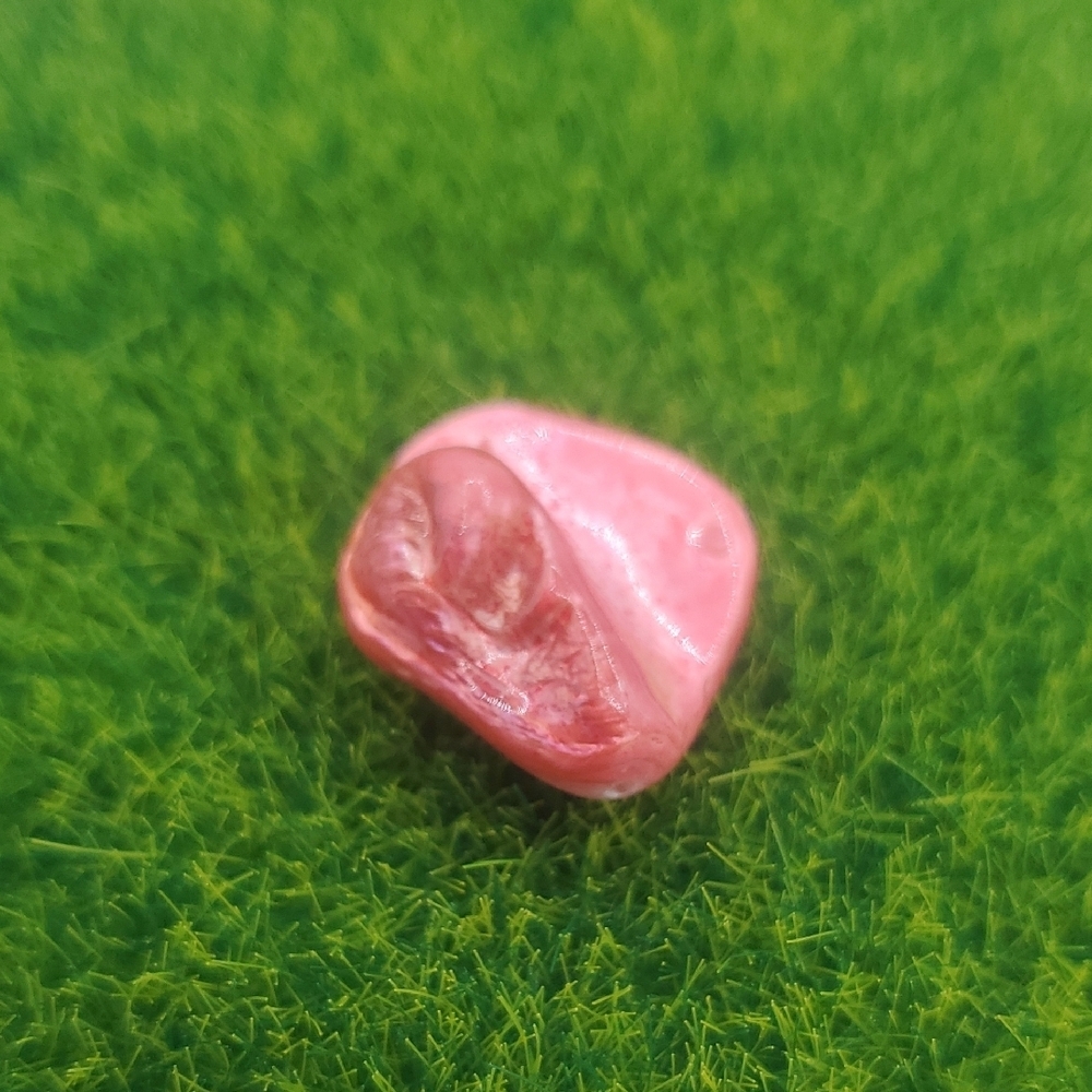 Coral Mother Of Pearl Charm P323